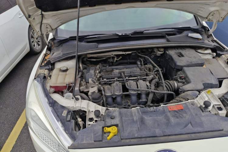 Used Ford Focus 2017 Sedan 1.6L Automatic Comfort Plus SmartDrive Edition Engine Bay Right