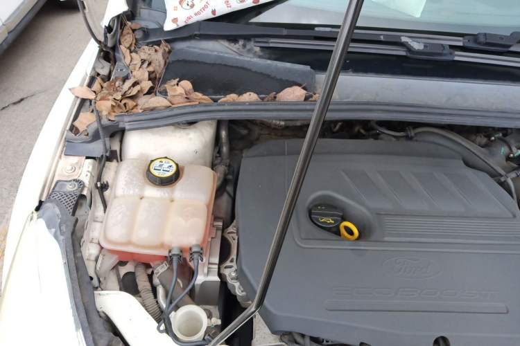 Used Ford Focus 2017 Sedan EcoBoost 180 Automatic Elite Model Engine Bay Right