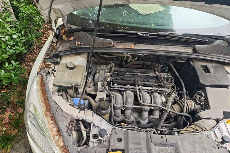 Used Ford Focus 2017 Sedan 1.6L Manual Comfort Plus SmartDrive Edition Engine Bay Right