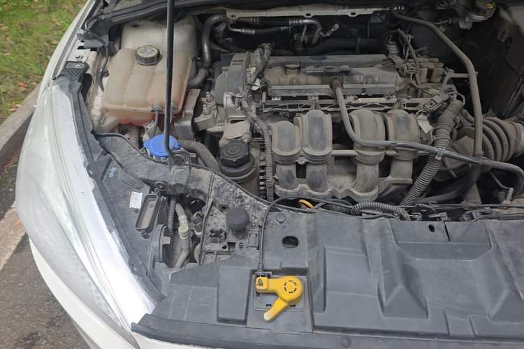 Used Ford Focus 2017 Sedan 1.6L Automatic Comfort Plus SmartDrive Edition Engine Bay Right