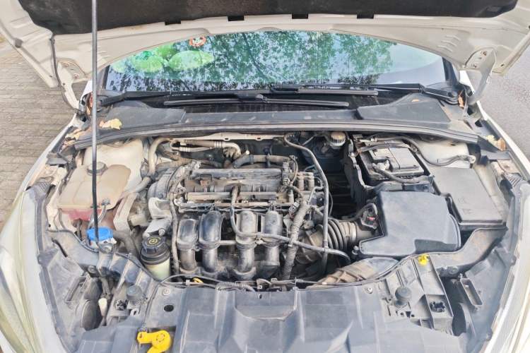 Used Ford Focus 2017 Hatchback 1.6L Manual Fashion Edition SmartDrive Version Engine Bay