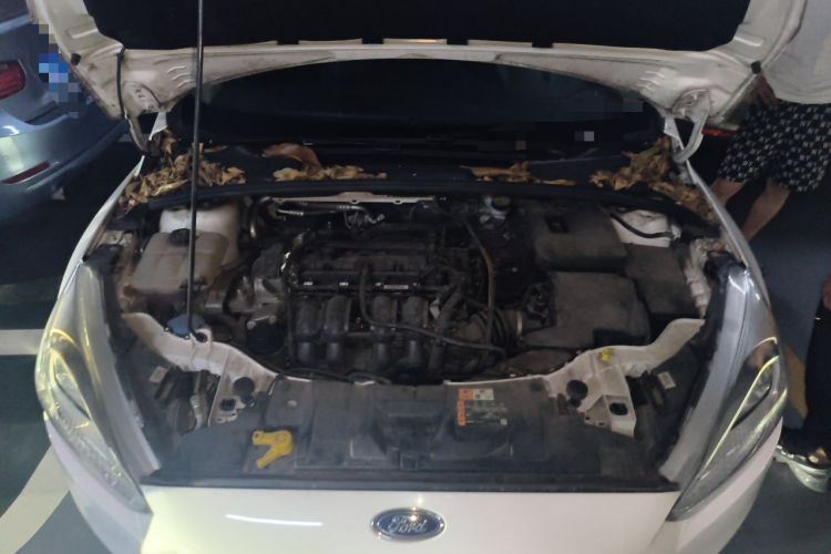 Used Ford Focus 2017 Hatchback 1.6L Manual Comfort Plus SmartDrive Edition Engine Bay