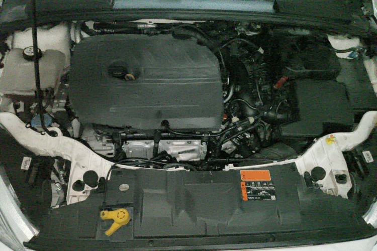Used Ford Focus 2017 Sedan EcoBoost 180 Automatic Elite Model Engine Bay
