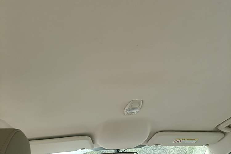 Used Ford Focus 2017 Sedan 1.6L Manual Comfort Plus SmartDrive Edition Headliner