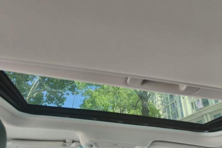 Used Ford Focus 2017 Hatchback EcoBoost 180 Automatic Elite Model Headliner
