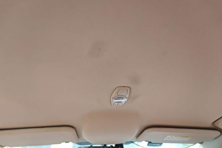 Used Ford Focus 2017 Sedan 1.6L Automatic Comfort Plus SmartDrive Edition Headliner