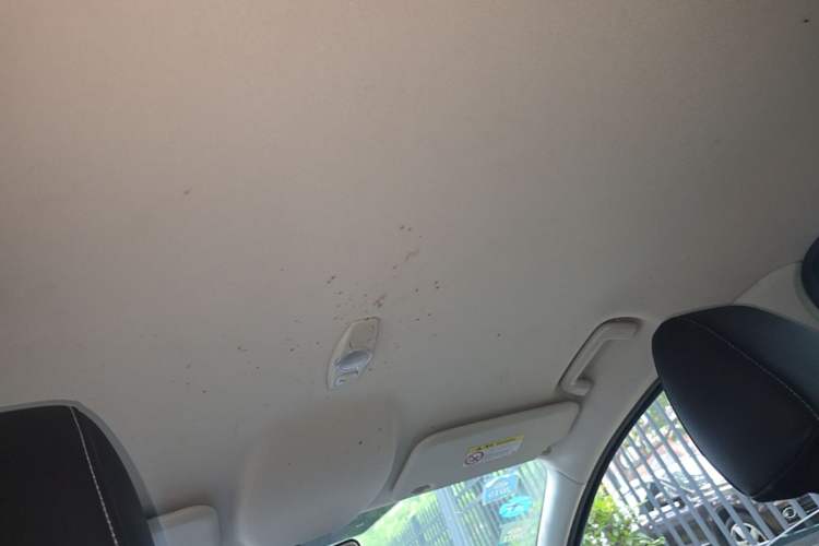 Used Ford Focus 2017 Sedan 1.6L Automatic Comfort Plus SmartDrive Edition Headliner