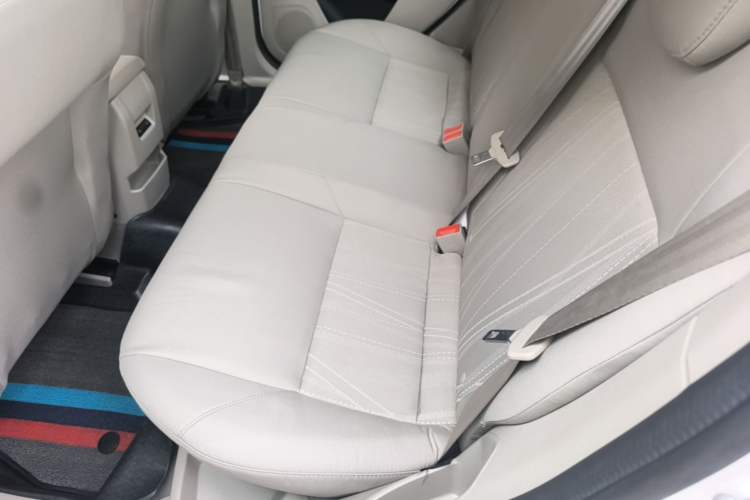 Used Ford Focus 2017 Sedan 1.6L Automatic Comfort Plus SmartDrive Edition Left Rear Seat