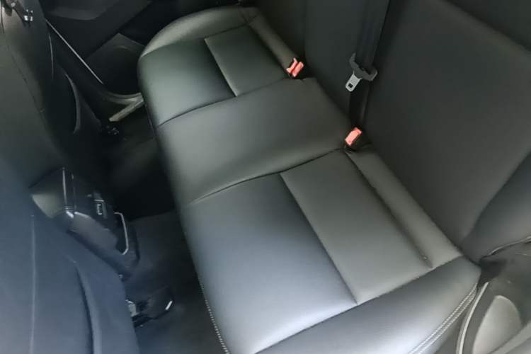 Used Ford Focus 2017 Hatchback 1.6L Automatic Comfort Plus SmartDrive Edition Left Rear Seat