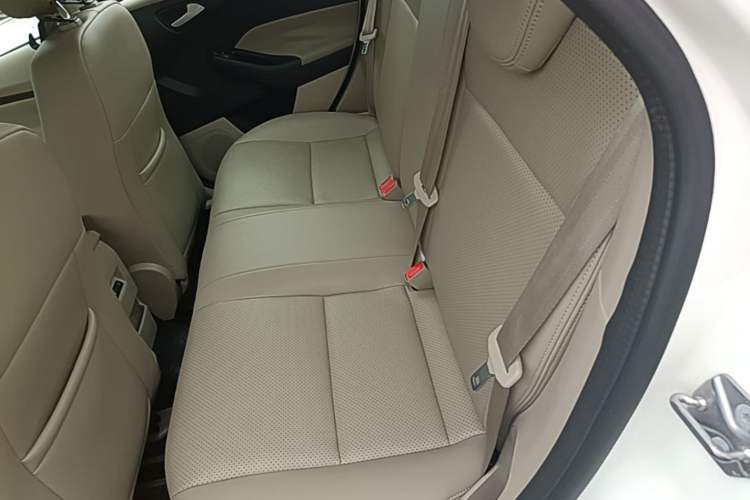 Used Ford Focus 2017 Sedan 1.6L Manual Comfort Plus SmartDrive Edition Left Rear Seat
