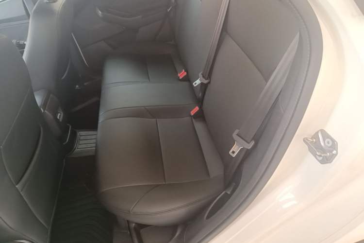 Used Ford Focus 2017 Hatchback 1.6L Automatic Comfort Plus SmartDrive Edition Left Rear Seat