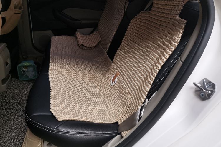 Used Ford Focus 2017 Sedan 1.6L Automatic Comfort Plus SmartDrive Edition Left Rear Seat