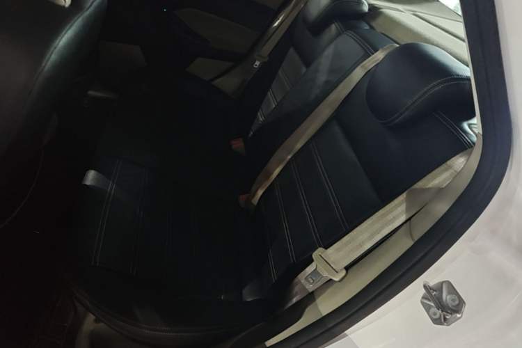 Used Ford Focus 2017 Sedan 1.6L Automatic Comfort Plus SmartDrive Edition Left Rear Seat