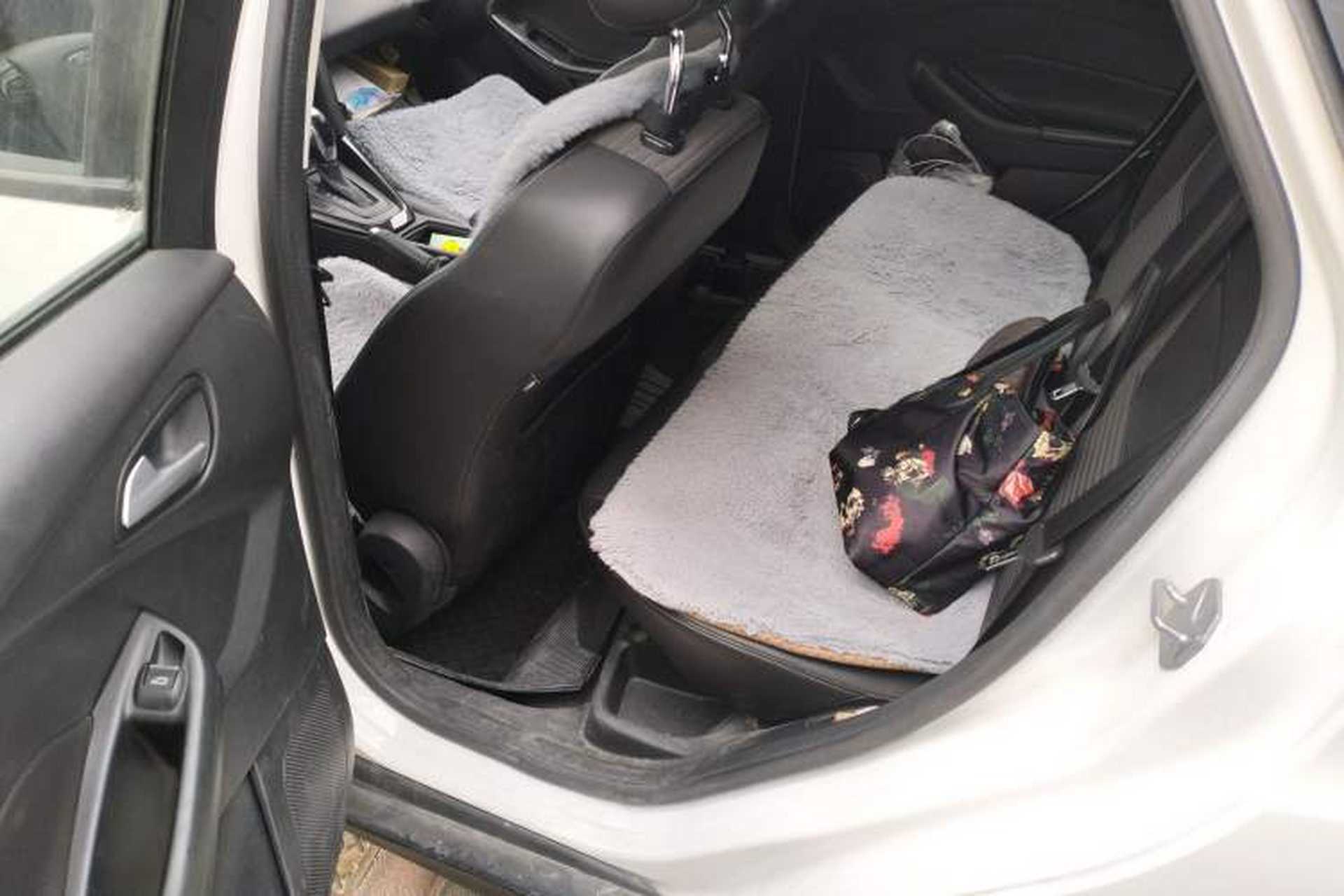Used Ford Focus 2017 Sedan 1.6L Automatic Fashion Edition Smart Drive Version Left Rear Seat