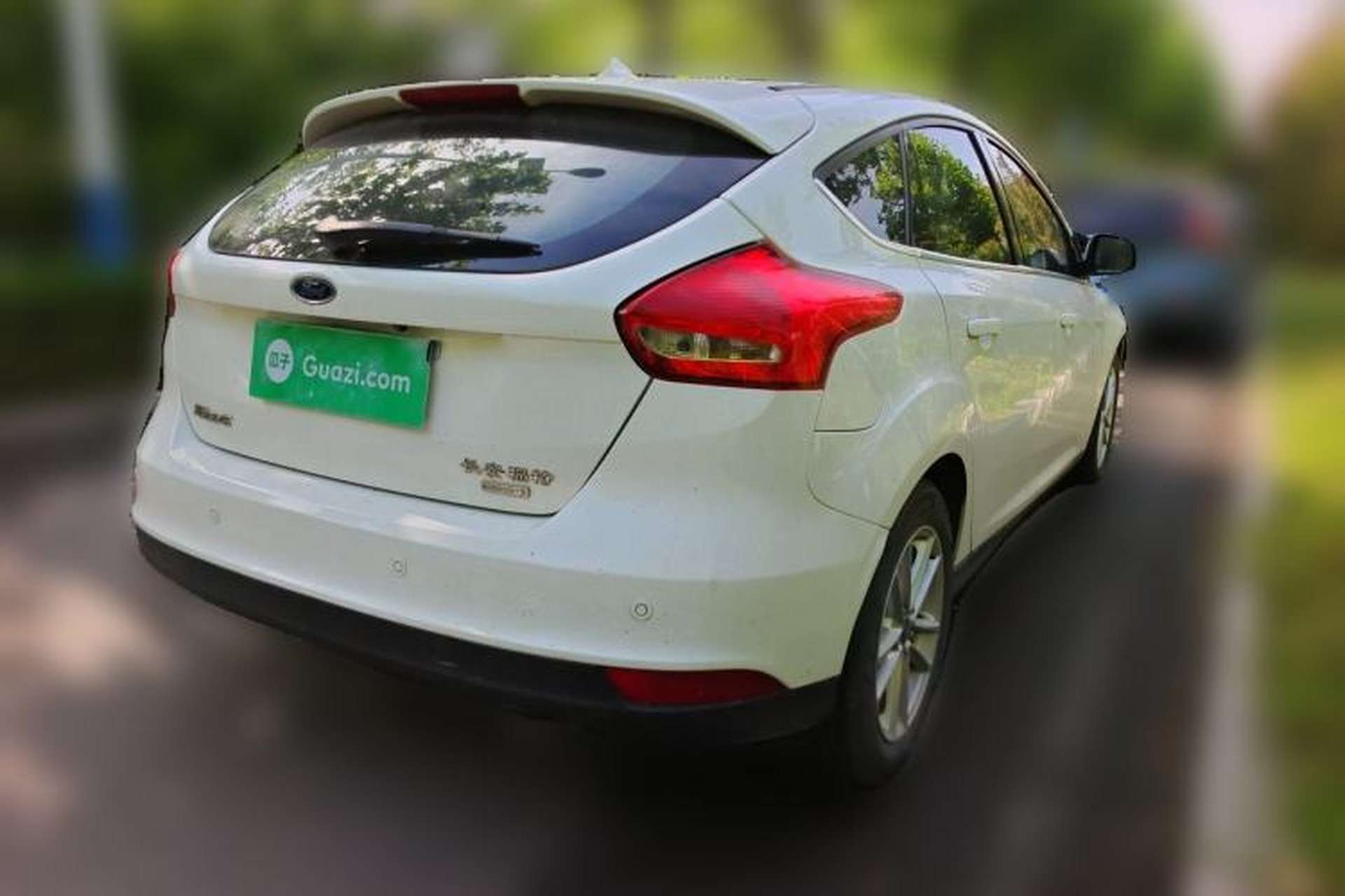 Used Ford Focus 2017 Hatchback EcoBoost 180 Automatic Elite Model Rear Right 45 Deg