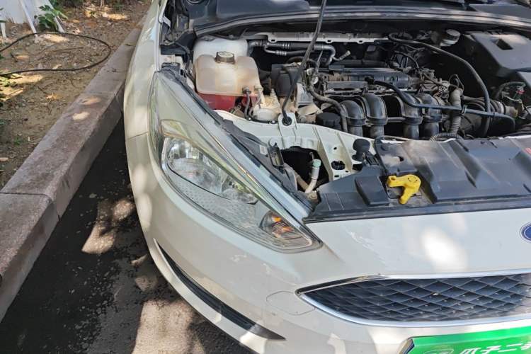 Used Ford Focus 2017 Hatchback 1.6L Automatic Comfort Plus SmartDrive Edition Right Front Headlight