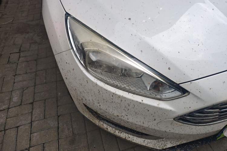 Used Ford Focus 2017 Sedan 1.6L Automatic Fashion Edition Smart Drive Version Right Front Headlight