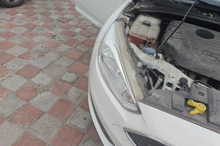 Used Ford Focus 2017 Hatchback 1.6L Manual Comfort Plus SmartDrive Edition Right Front Headlight