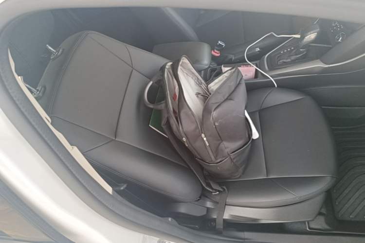 Used Ford Focus 2017 Hatchback 1.6L Automatic Comfort Plus SmartDrive Edition Right Front Seat