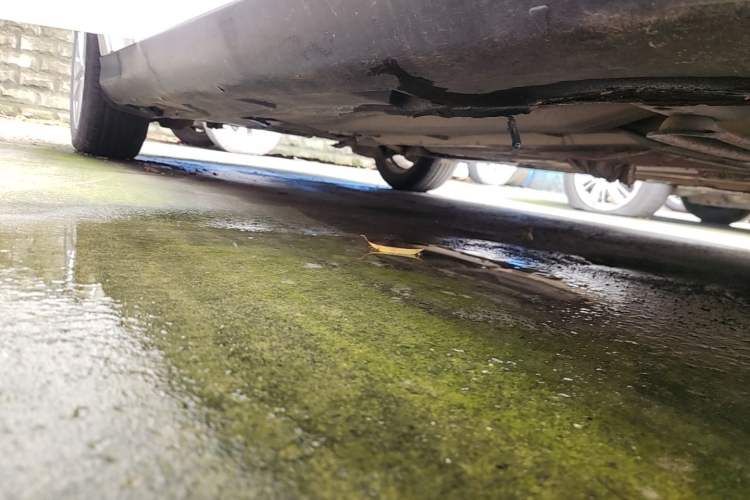 Used Ford Focus 2017 Sedan EcoBoost 180 Automatic Elite Model Right Side Sill