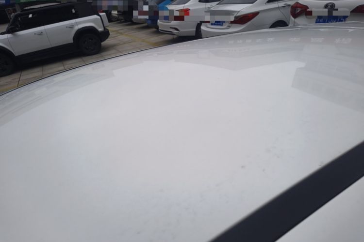 Used Ford Focus 2017 Hatchback 1.6L Automatic Comfort Plus SmartDrive Edition Roof