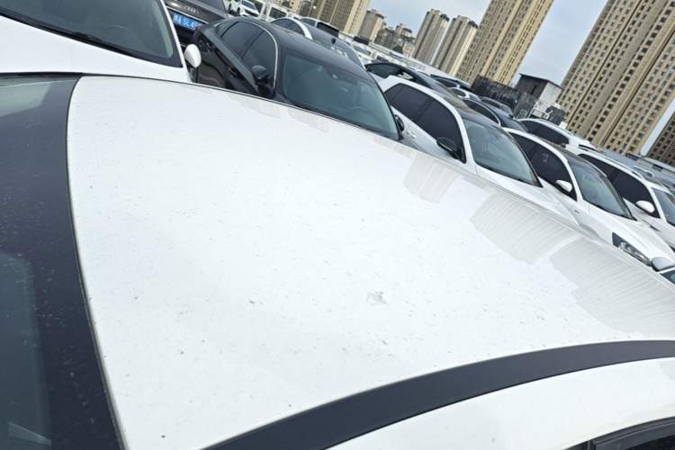 Used Ford Focus 2017 Hatchback 1.6L Automatic Comfort Plus SmartDrive Edition Roof