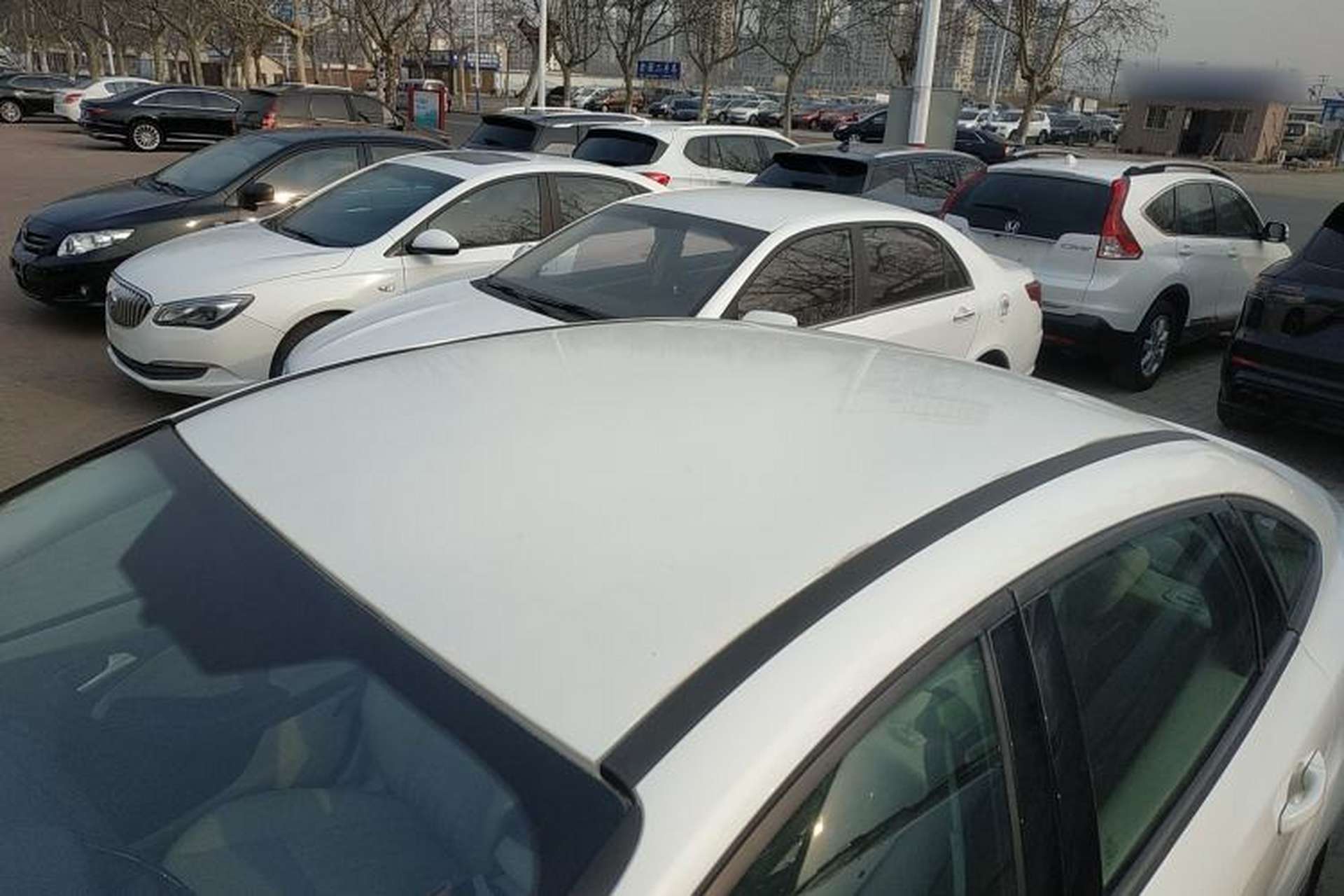 Used Ford Focus 2017 Sedan 1.6L Manual Comfort Plus SmartDrive Edition Roof