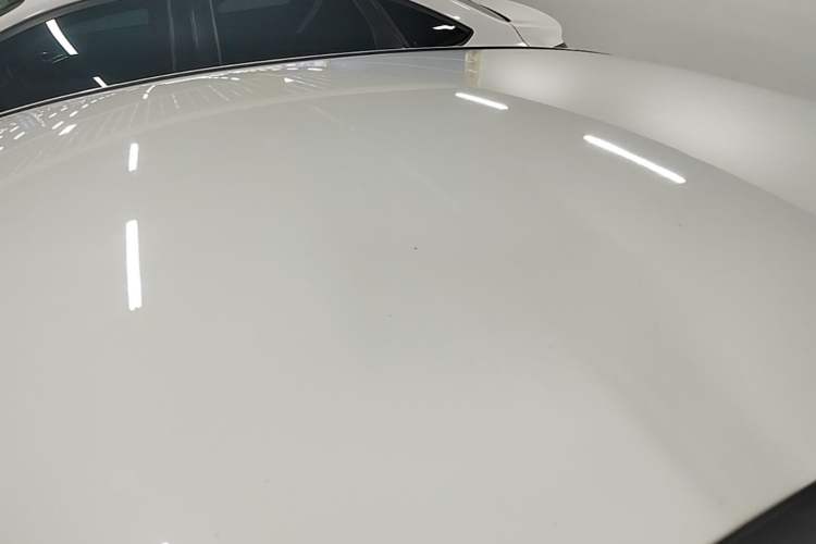 Used Ford Focus 2017 Sedan 1.6L Automatic Comfort Plus SmartDrive Edition Roof