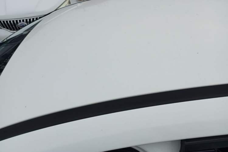 Used Ford Focus 2017 Sedan 1.6L Manual Comfort Plus SmartDrive Edition Roof