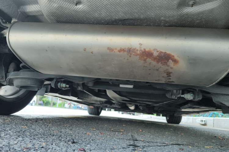 Used Ford Focus 2017 Hatchback EcoBoost 180 Automatic Sport Model Chassis Rear