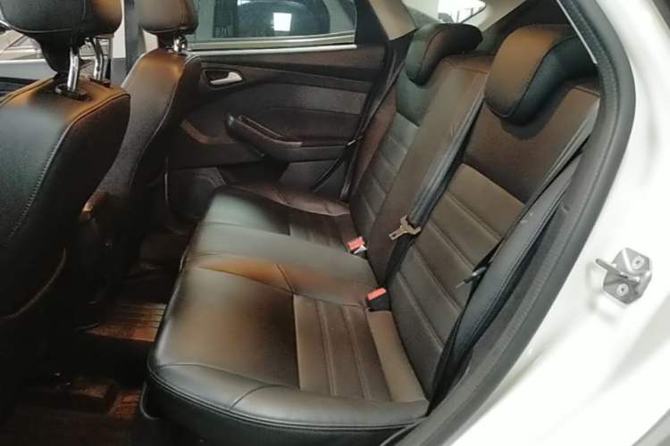 Used Ford Focus 2018 Hatchback Classic 1.6L Automatic Comfort Plus SmartDrive Edition Left Rear Seat