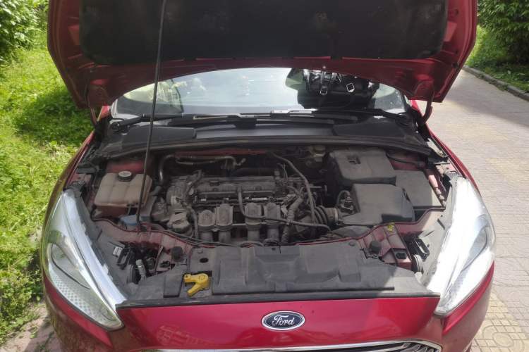 Used Ford Focus 2018 Sedan Classic 1.6L Automatic Trendy SmartDrive Edition Engine Bay