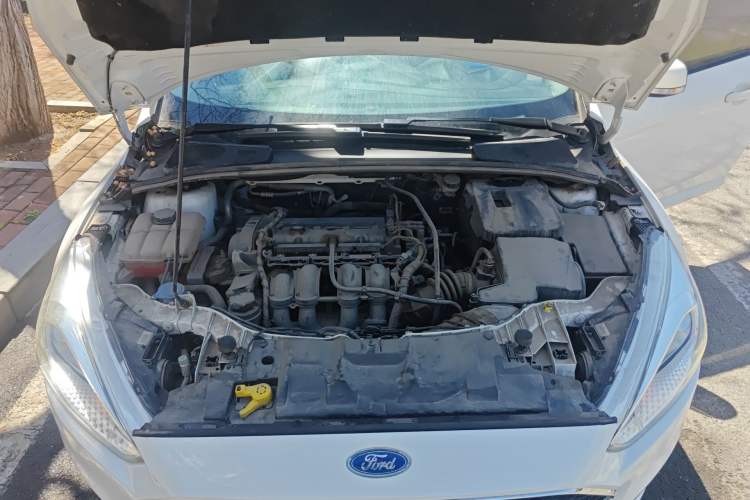 Used Ford Focus 2018 Hatchback Classic 1.6L Automatic Trendy SmartDrive Edition Engine Bay