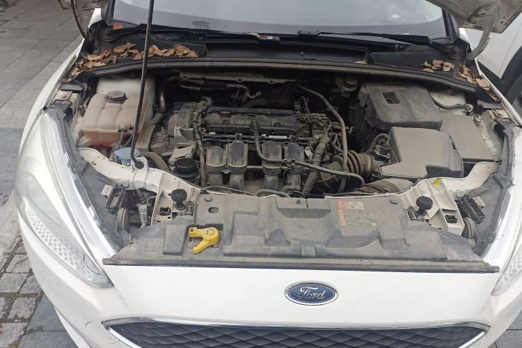Used Ford Focus 2018 Hatchback Classic 1.6L Automatic Trendy SmartDrive Edition Engine Bay