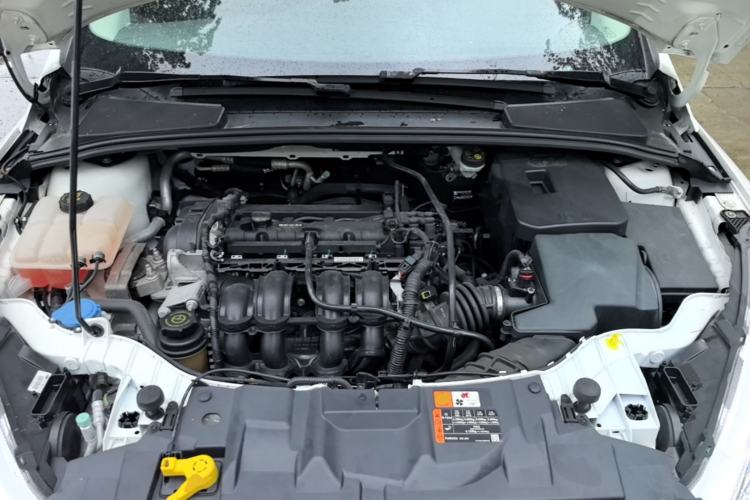 Used Ford Focus 2018 Hatchback Classic 1.6L Automatic Comfort Plus SmartDrive Edition Engine Bay