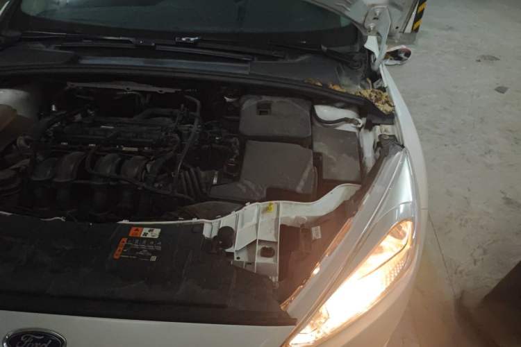 Used Ford Focus 2018 Sedan Classic 1.6L Manual Fashion Edition SmartDrive Version Engine Bay Left