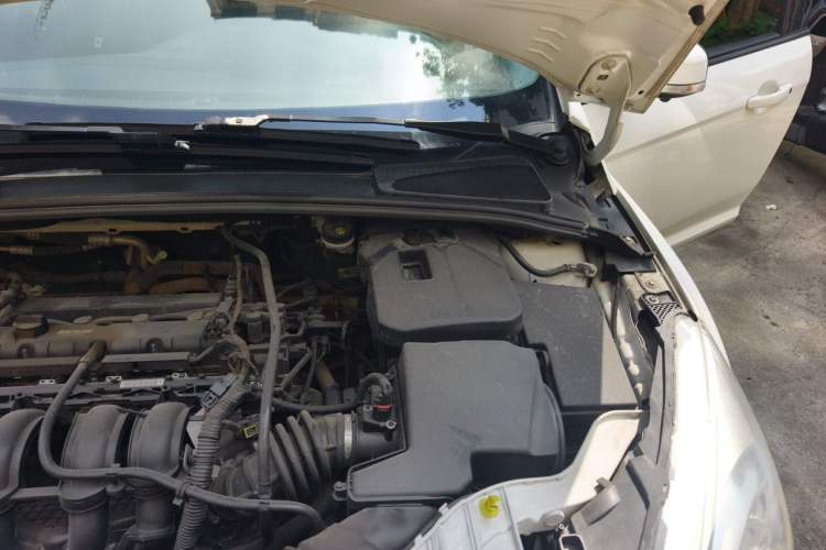 Used Ford Focus 2018 Hatchback Classic 1.6L Automatic Comfort Plus SmartDrive Edition Engine Bay Left