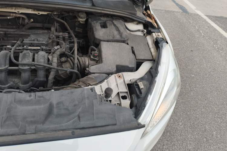 Used Ford Focus 2018 Hatchback Classic 1.6L Automatic Trendy SmartDrive Edition Engine Bay Left