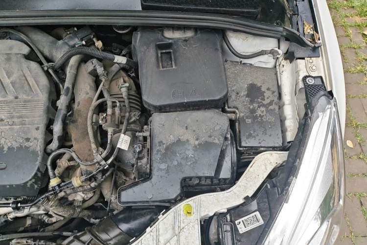 Used Ford Focus 2018 Hatchback Classic EcoBoost 180 Automatic Elite Model Engine Bay Left