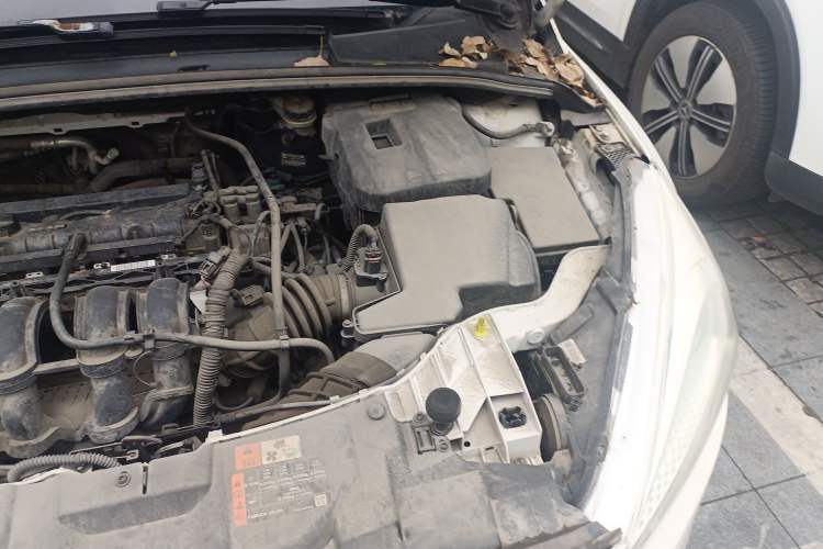 Used Ford Focus 2018 Hatchback Classic 1.6L Automatic Trendy SmartDrive Edition Engine Bay Left
