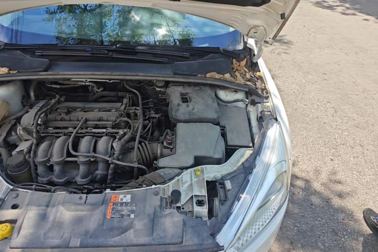 Used Ford Focus 2018 Hatchback Classic 1.6L Automatic Comfort Plus SmartDrive Edition Engine Bay Left