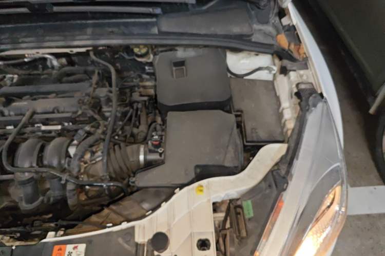 Used Ford Focus 2018 Hatchback Classic 1.6L Automatic Comfort Plus SmartDrive Edition Engine Bay Left