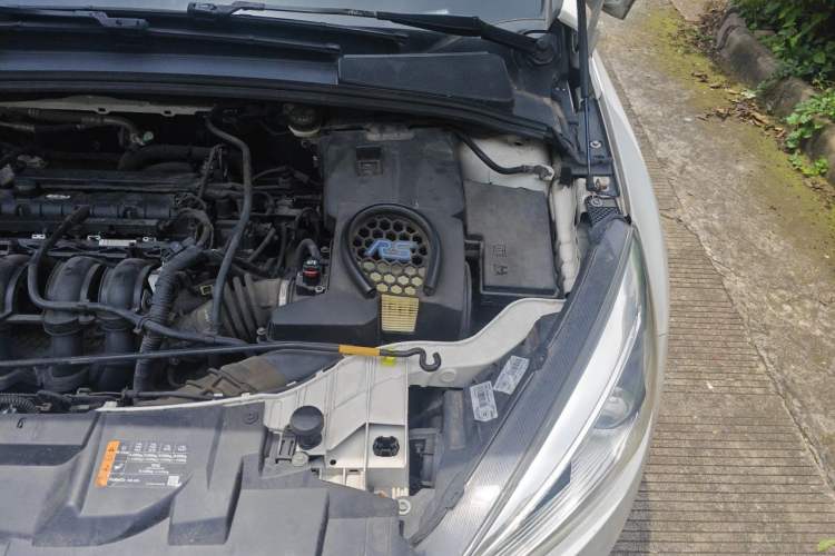 Used Ford Focus 2018 Hatchback Classic 1.6L Automatic Comfort Plus SmartDrive Edition Engine Bay Left