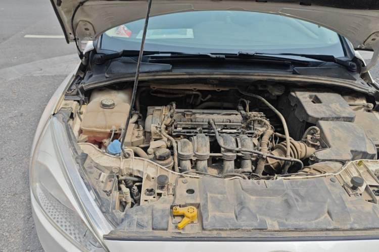 Used Ford Focus 2018 Sedan Classic 1.6L Manual Comfort Plus SmartDrive Edition Engine Bay Right