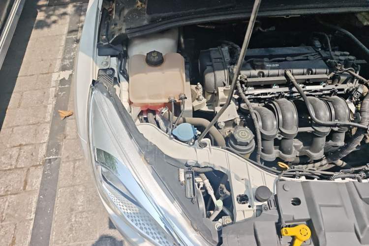 Used Ford Focus 2018 Hatchback Classic 1.6L Automatic Comfort Plus SmartDrive Edition Engine Bay Right