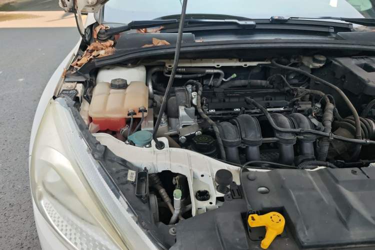 Used Ford Focus 2018 Hatchback Classic 1.6L Manual Comfort Plus SmartDrive Edition Engine Bay Right