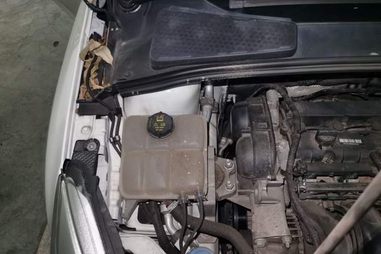 Used Ford Focus 2018 Hatchback Classic 1.6L Automatic Comfort Plus SmartDrive Edition Engine Bay Right