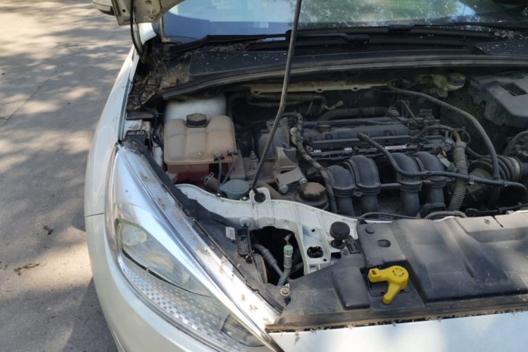 Used Ford Focus 2018 Hatchback Classic 1.6L Automatic Trendy SmartDrive Edition Engine Bay Right