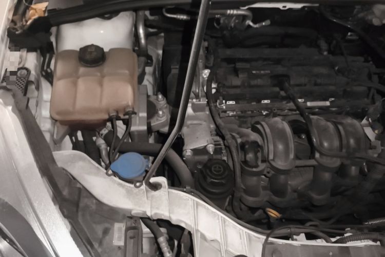 Used Ford Focus 2018 Hatchback Classic 1.6L Automatic Comfort Plus SmartDrive Edition Engine Bay Right