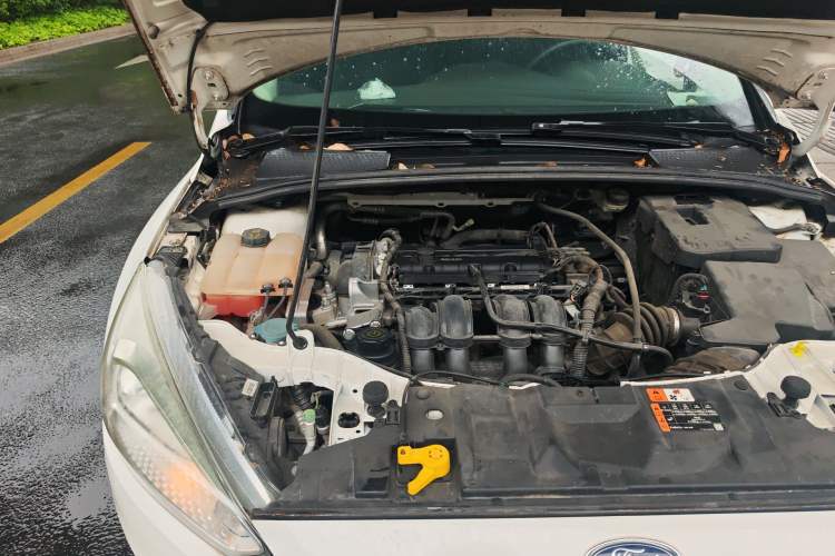 Used Ford Focus 2018 Hatchback Classic 1.6L Manual Comfort Plus SmartDrive Edition Engine Bay Right